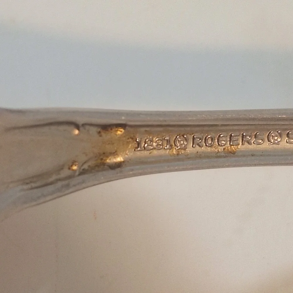 Oneida ARBOR ROSE TRUE ROSE 1881 Rogers Ltd Stainless Flatware Choice